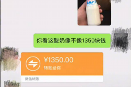 乐至遇到恶意拖欠？专业追讨公司帮您解决烦恼